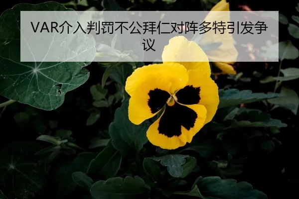 VAR介入判罚不公拜仁对阵多特引发争议