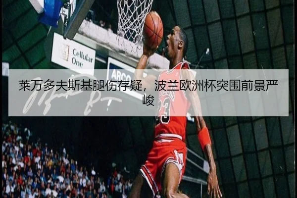 lai-wan-duo-fu-si-ji-tui-shang-cun-yi-bo-lan-ou-zhou-bei-tu-wei-qian-jing-yan-jun-3-216.jpg