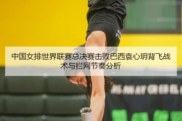 中国女排世界联赛总决赛击败巴西袁心玥背飞战术与拦网节奏分析